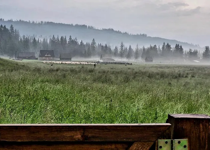 Han/Misafirhane Jozef Witów